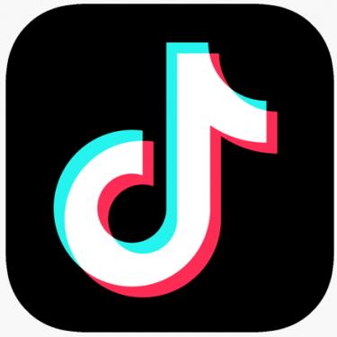 image on google tiktok logo