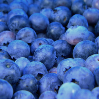 Up-close blueberries