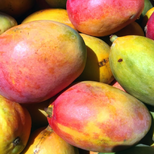 Up-close mangoes