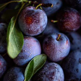 Up-close plums