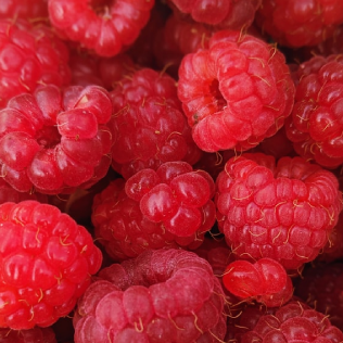 Up-close raspberries