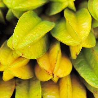 Up-close starfruit