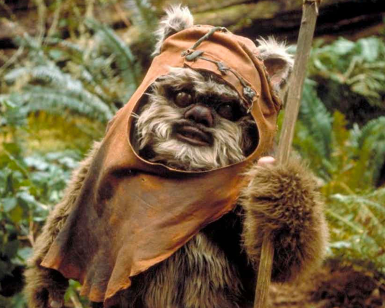 An Ewok from Star Wars